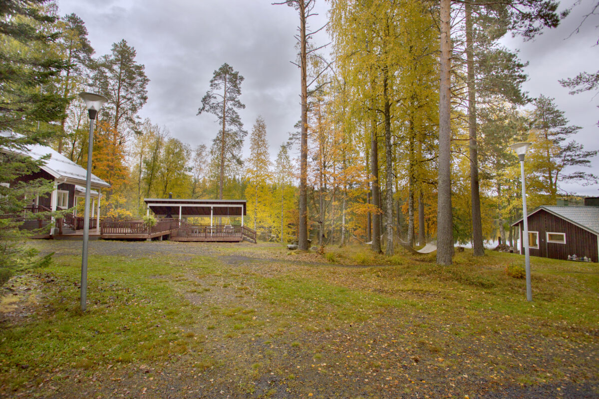 Takapiha syksy